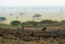 business growth tracking numbers