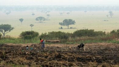 business growth tracking numbers